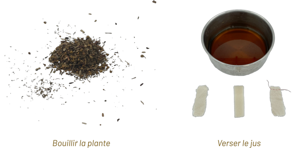 Recette Tanaisie