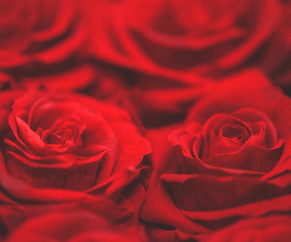 Rouge