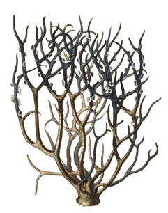 Orseille